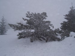 Winterlandschaft Kahler Asten